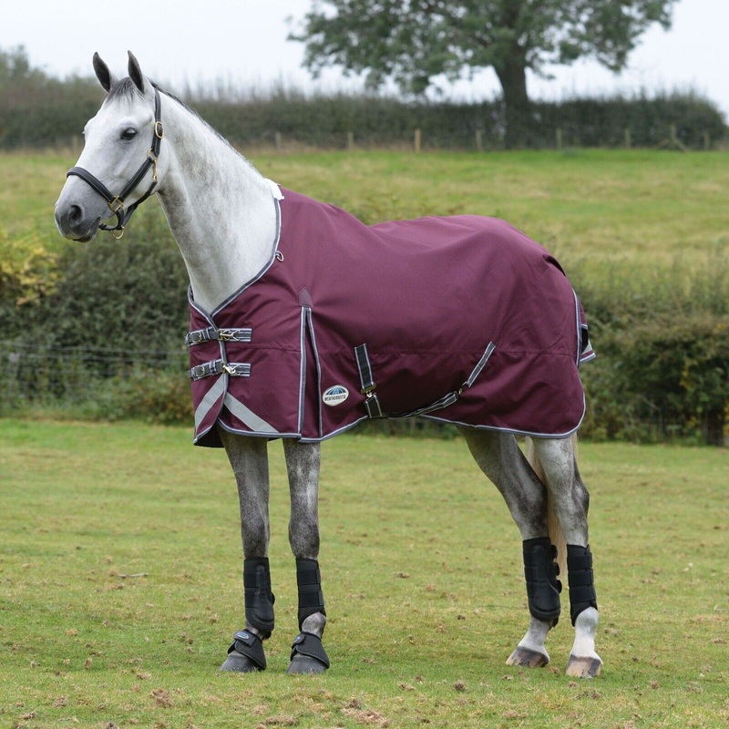 Weatherbeeta Comfitec Plus Dynamic II Turnout Rug 220g 1200D Medium,  Std Neck