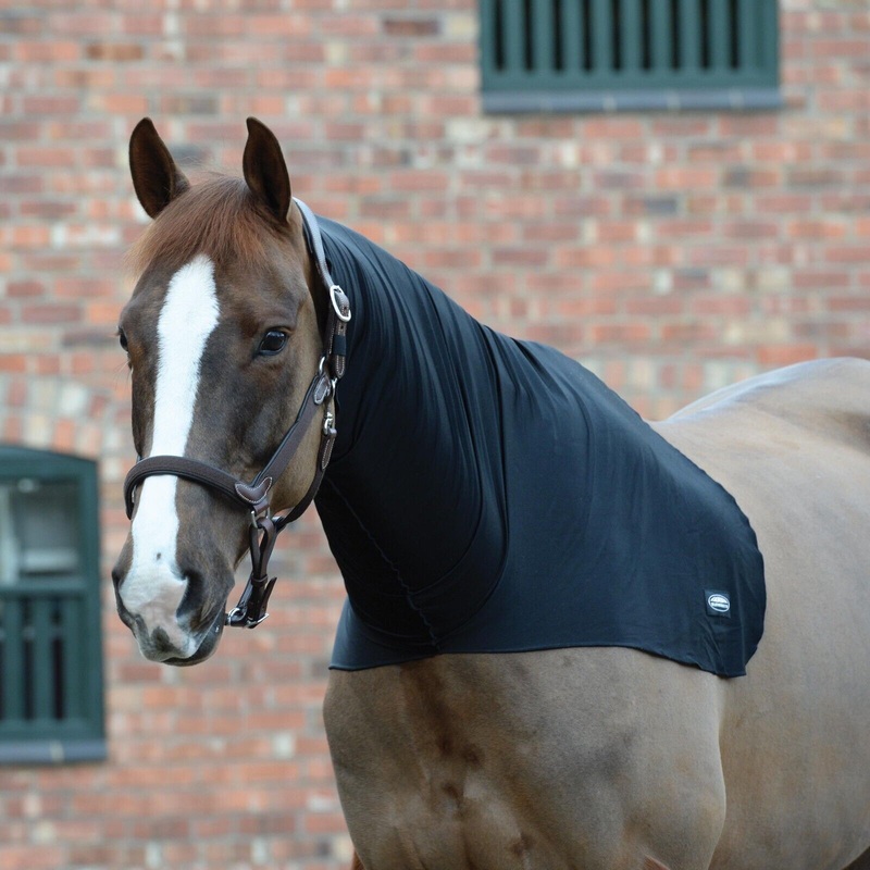Weatherbeeta Stretch Neck Hood,  Show Prep Horse Neck Hood.