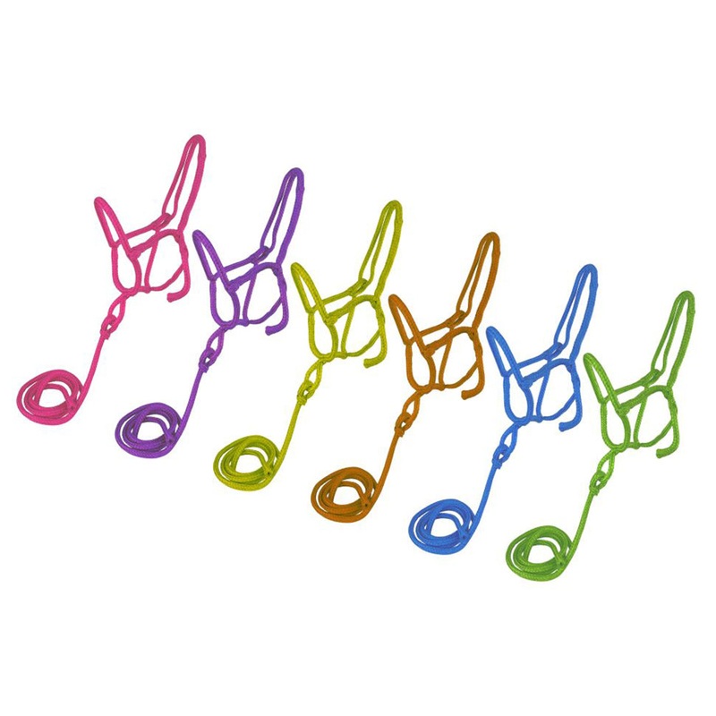 Showman Nylon Rope Shipping Halter with 8′ Lead