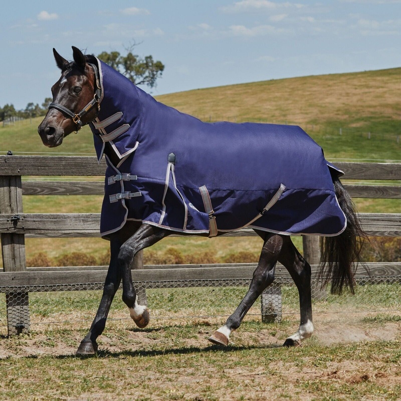 Weatherbeeta Comfitec Essential Turnout Rug 50g 1200D Lite Plus Fixed Neck Combo