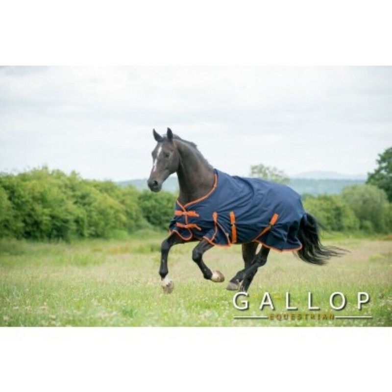 Gallop Trojan 100g Waterproof Horse Turnout Rug Light Medium Weight 600 Denier