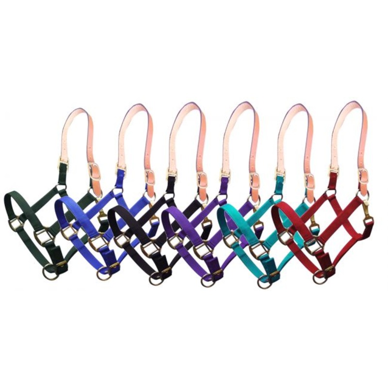 Showman Triple ply nylon halter with leather crown
