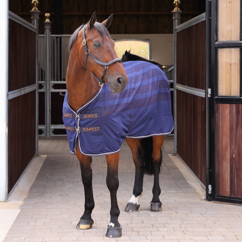 Shires Tempest Original Scrim Cooler / Travel Rug, Ink,  5’0″ – 7’0″