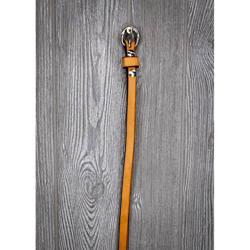 1/2″ Throat Latch Ss Buckle, 44″ Long