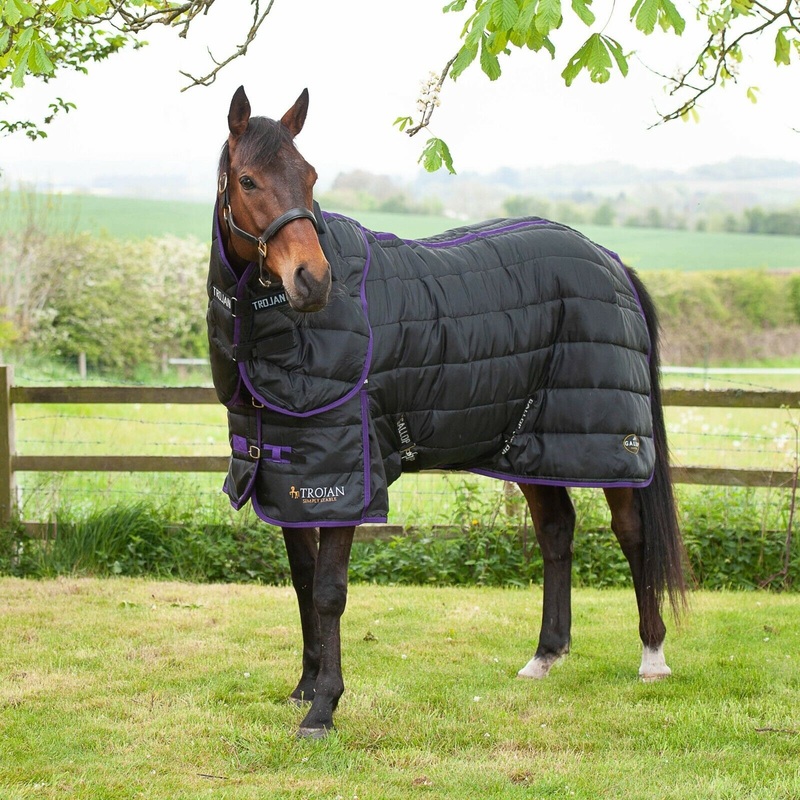 Gallop Trojan Dual 200g Horse Indoor Stable Rug & Neck Set Mediumweight Quilt