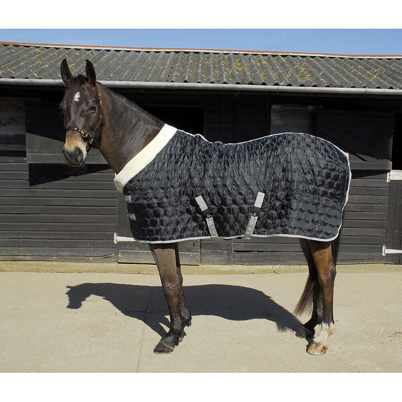 Rhinegold Detroit Hexagon 150g Stable Horse Rug Quilt 600D