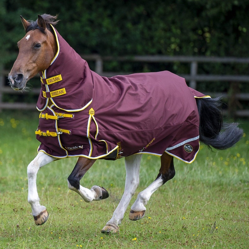 Gallop Trojan Xtra 200G 1200denier Mediumweight Horse Turnout Rug Full Neck