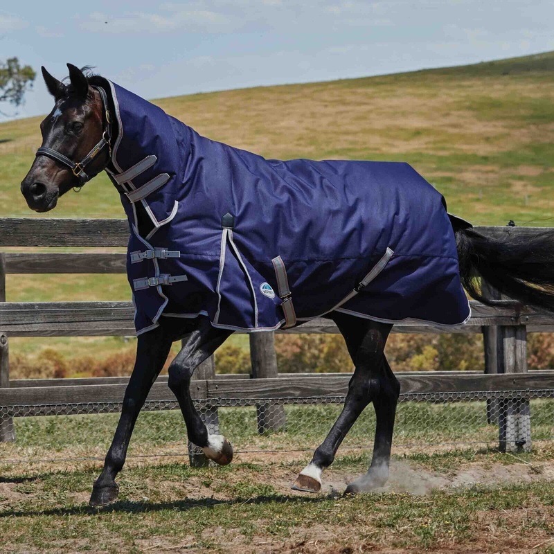 Weatherbeeta Comfitec Essential Turnout Rug 220g 1200D Medium Fixed Neck Combo