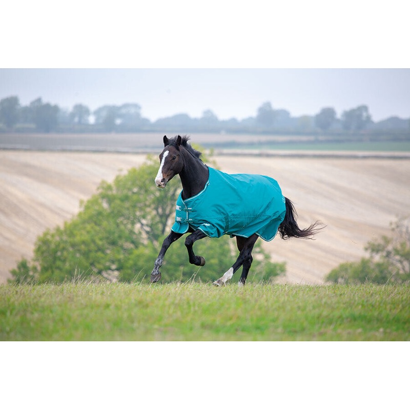 Shires Tempest Plus 200g Horse Turnout Rug Std Neck 1200d