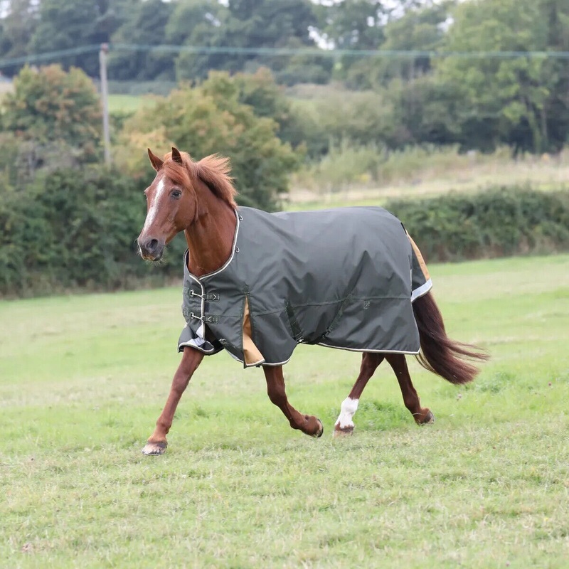 Shires Highlander Plus 50g Lightweight Turnout Rug Horse Pony, 5’0″-7’3″, 1200d