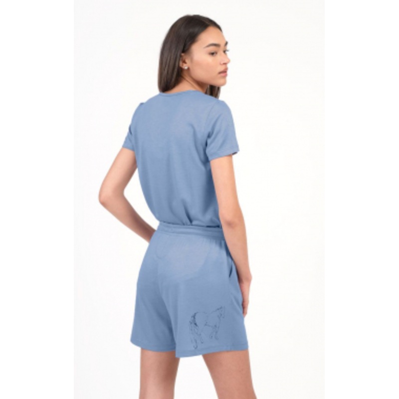Chestnut Bay Dream On Boxers – Walking Away