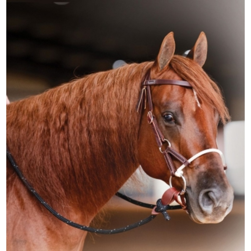 Professional’s Choice Ranch Comb Bridle With Twisted Snaffle