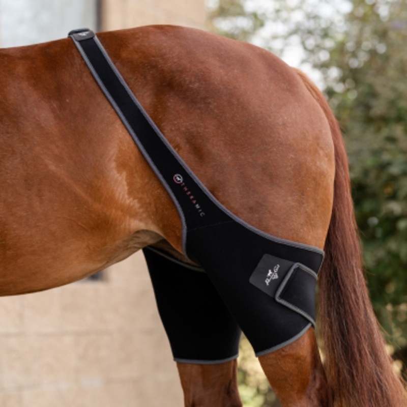 Professional’s Choice Theramic Stifle Wrap