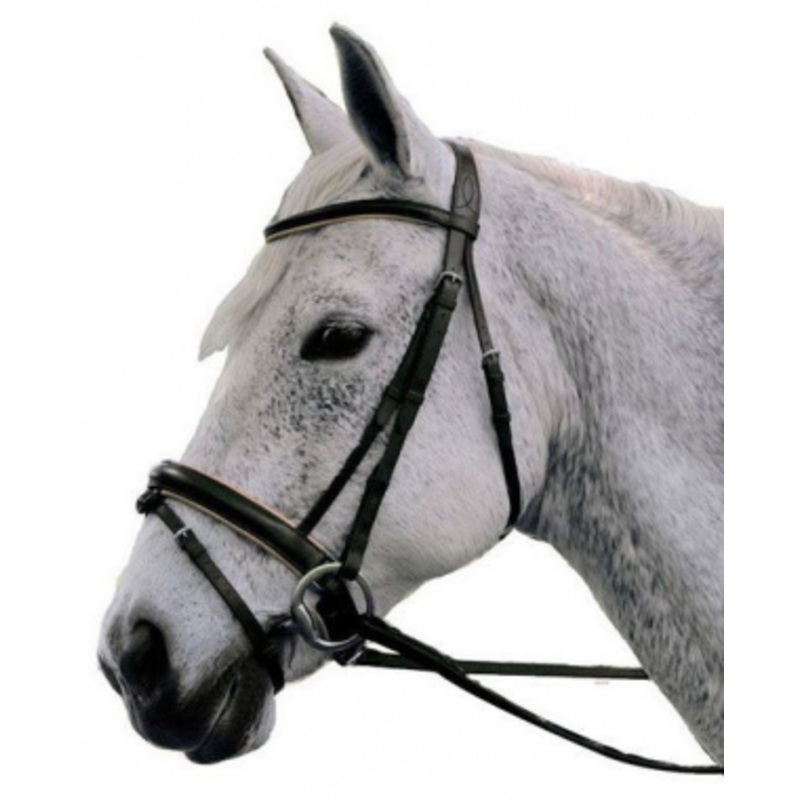 Exselle Plain Raised Padded Bridle With Web Reins