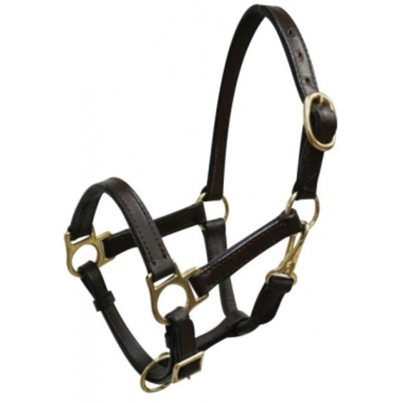 Miniature Premium Leather Halter