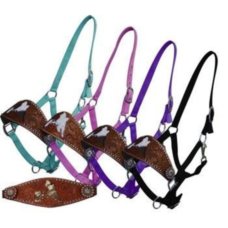Showman Nylon Bronc Halter With Barrel Racer Cut-Out