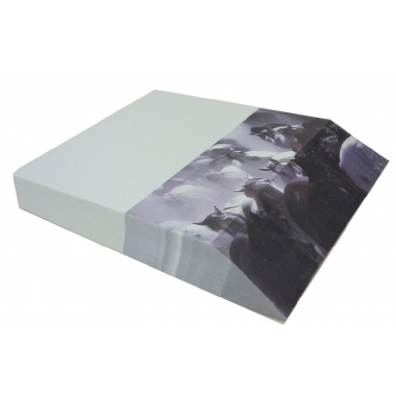 Slant Message Pad – Running Horses
