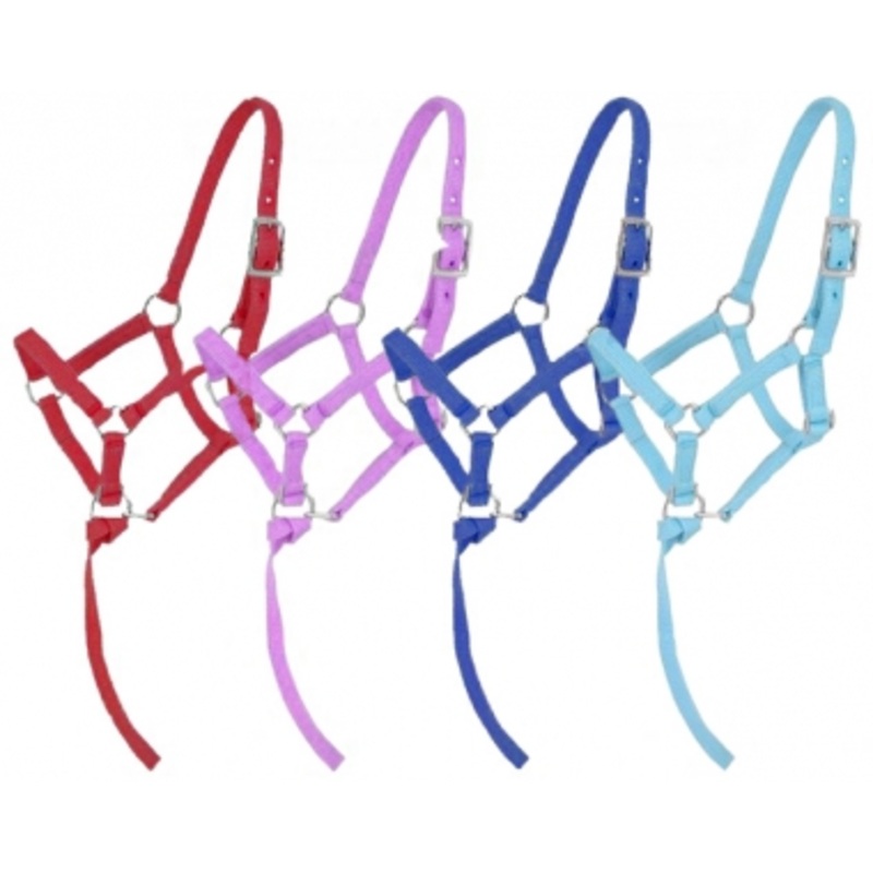 Tough-1 Nylon Adjustable Foal Halter