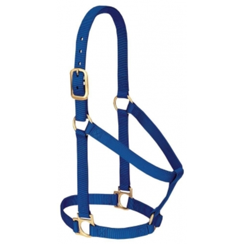 Weaver Non-Adjustable Nylon Halter