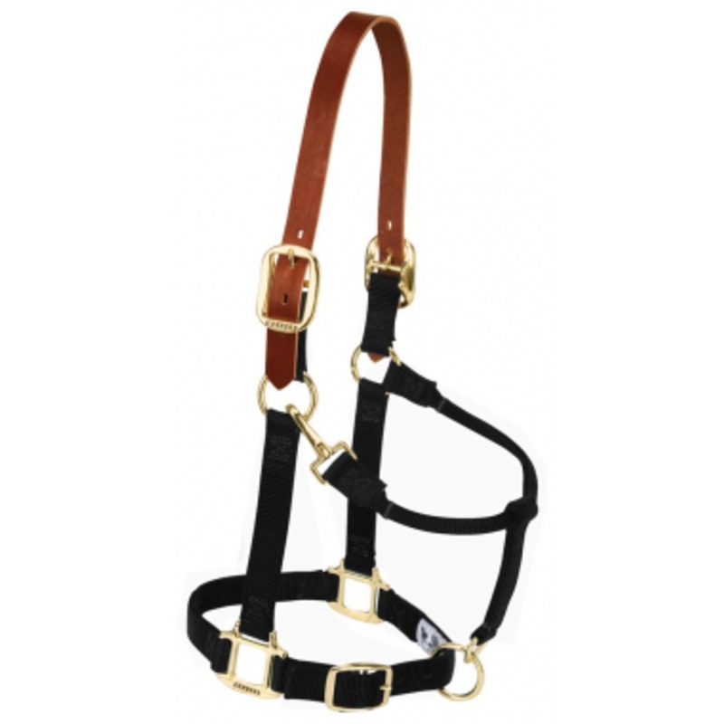 Weaver Adjustable Breakaway Halter