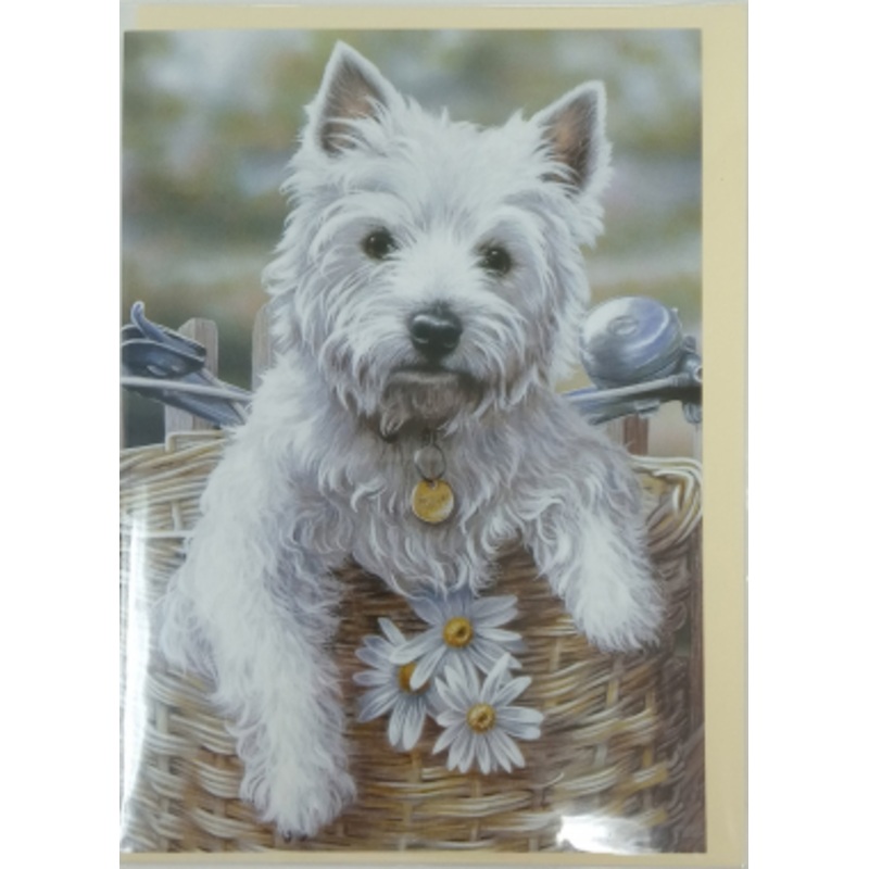 Sally Mitchell Blank Greeting Cards – 6 Pack