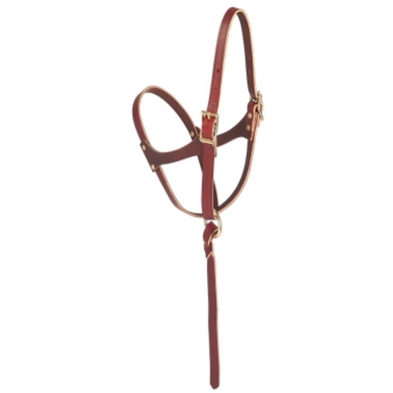 Weaver 5/8 Inch Figure 8 Foal/Suckling Halter