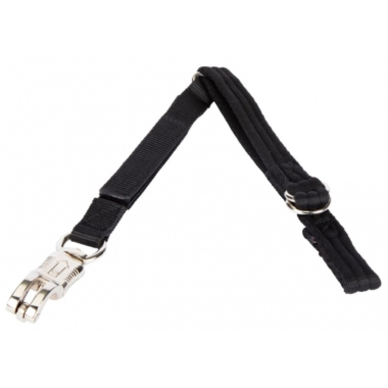 Breakaway Trailer Tie