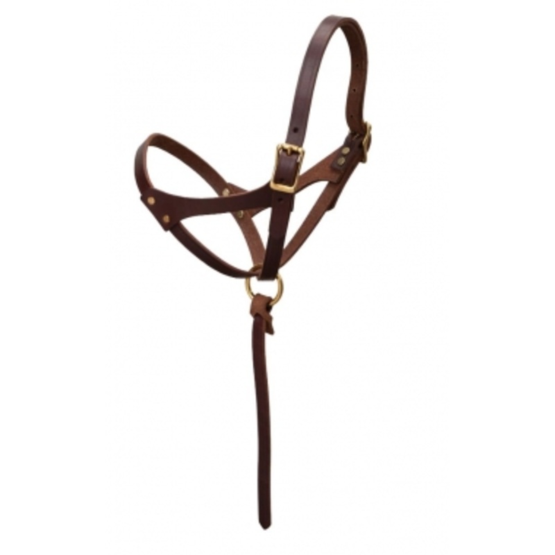 Weaver Figure 8 Foal Halter