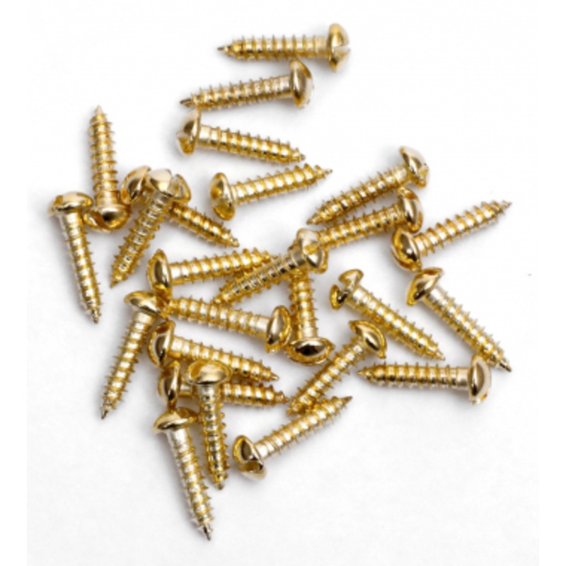 Brass Screws For Engraved Small Plates