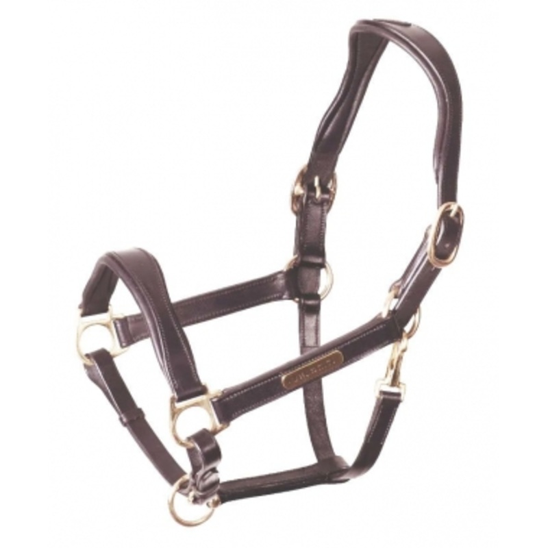 Pro Series Velociti Rapida Cushioned Leather Halter