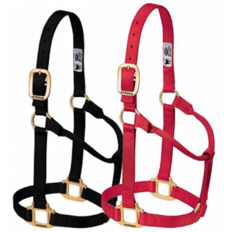 Weaver Original Halter