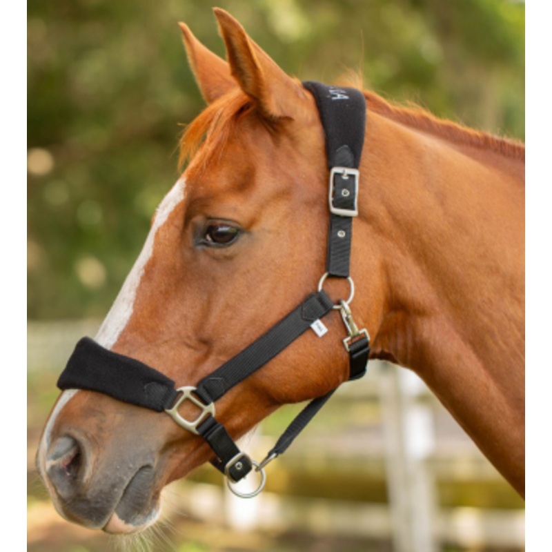 Equinavia Saga Fleece Padded Breakaway Halter