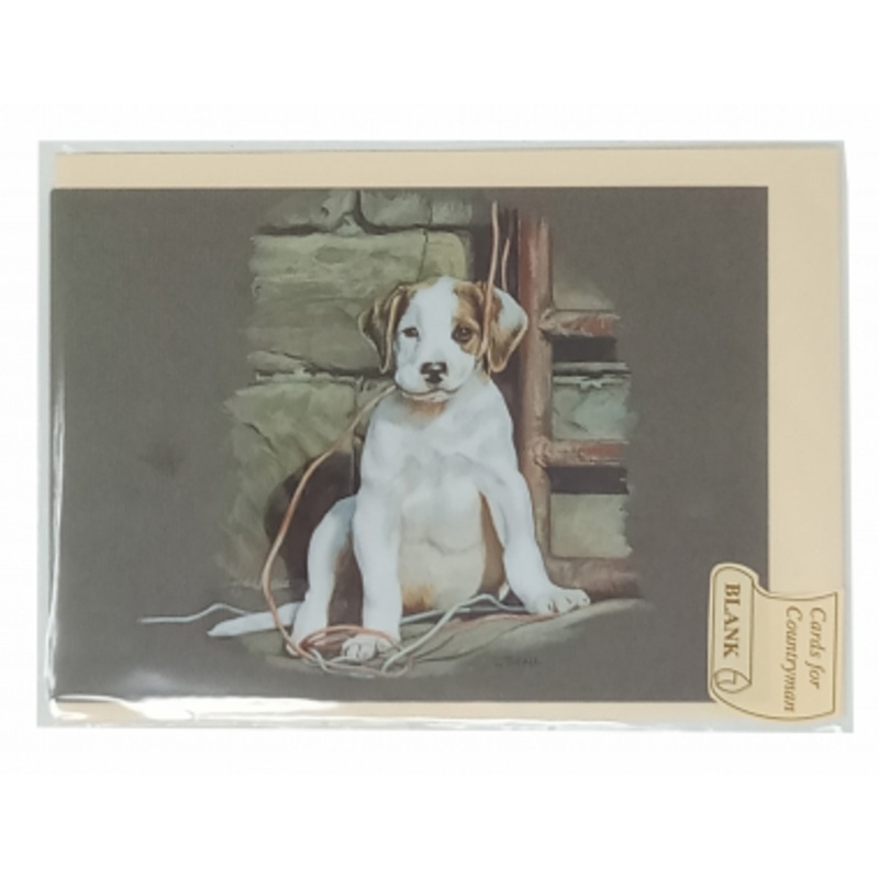 6 Pack – Blank Greeting Cards – All Strung Up