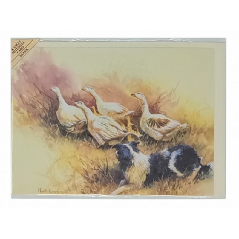 6 Pack – Blank Greeting Cards – Getting Some Practice