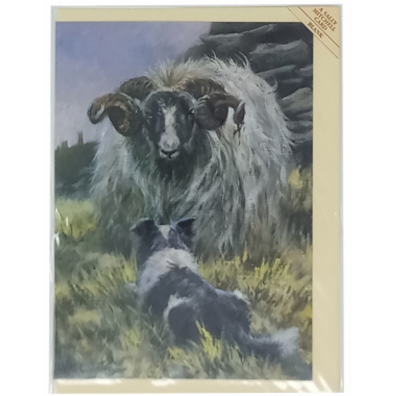 6 Pack – Blank Greeting Cards – The Confrontation