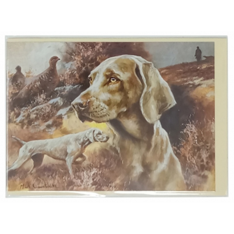 6 Pack – Blank Greeting Cards – The Weimaraner