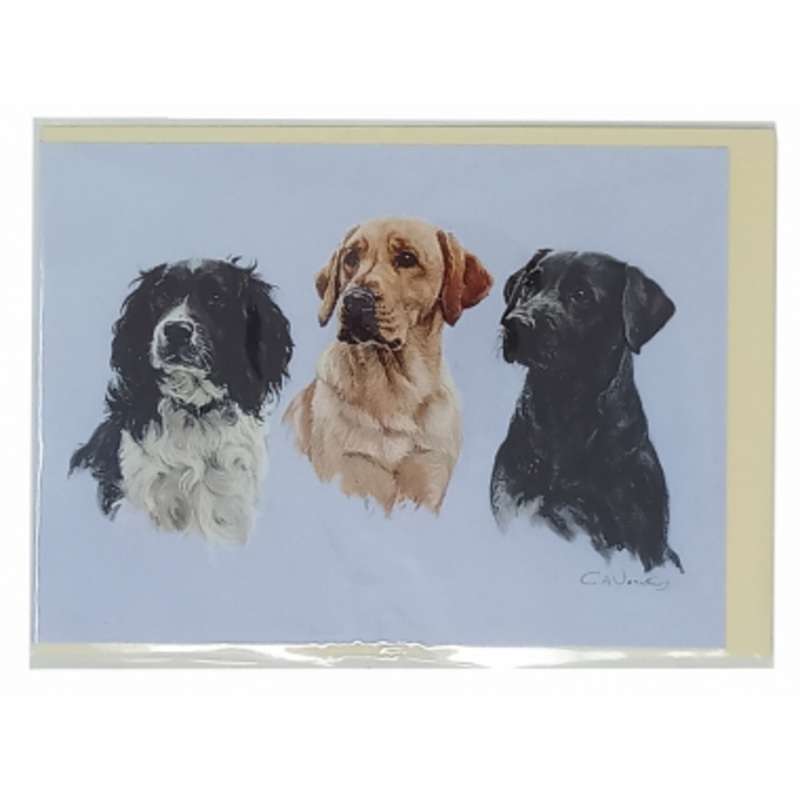 6 Pack – Blank Greeting Cards -Three Wise Men