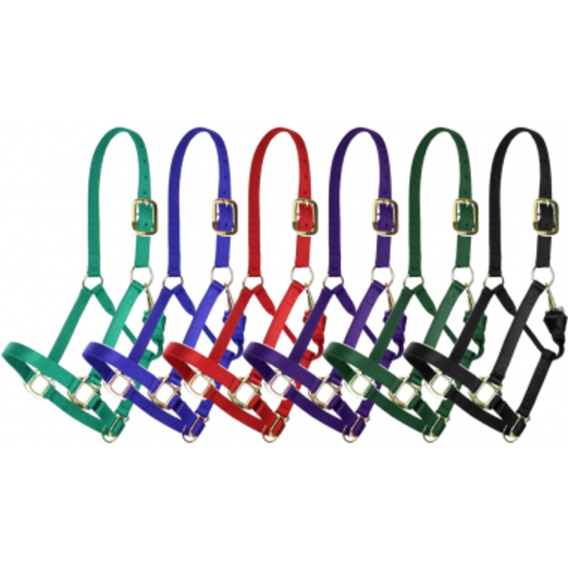 Showman Deluxe Nylon Halter with Throat Clip