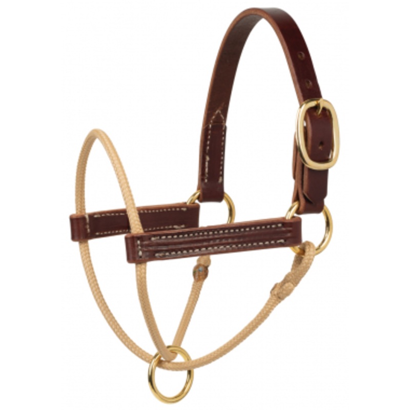 Weaver Horsemans Foal Halter