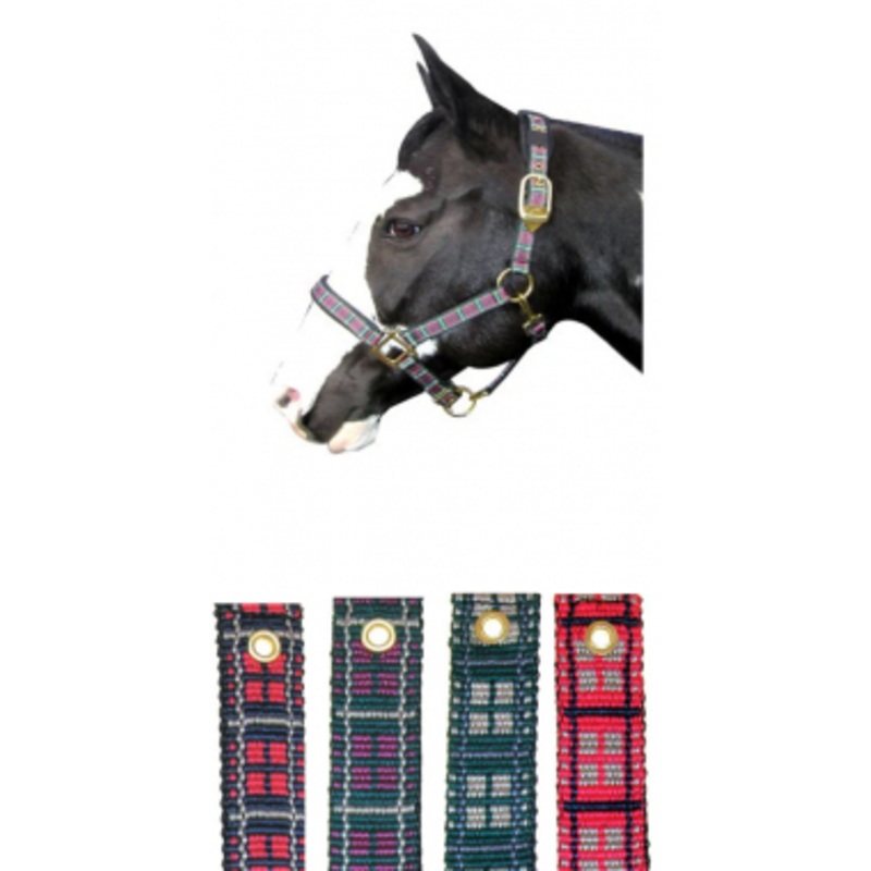1 Inch Padded Plaid Nylon Halter