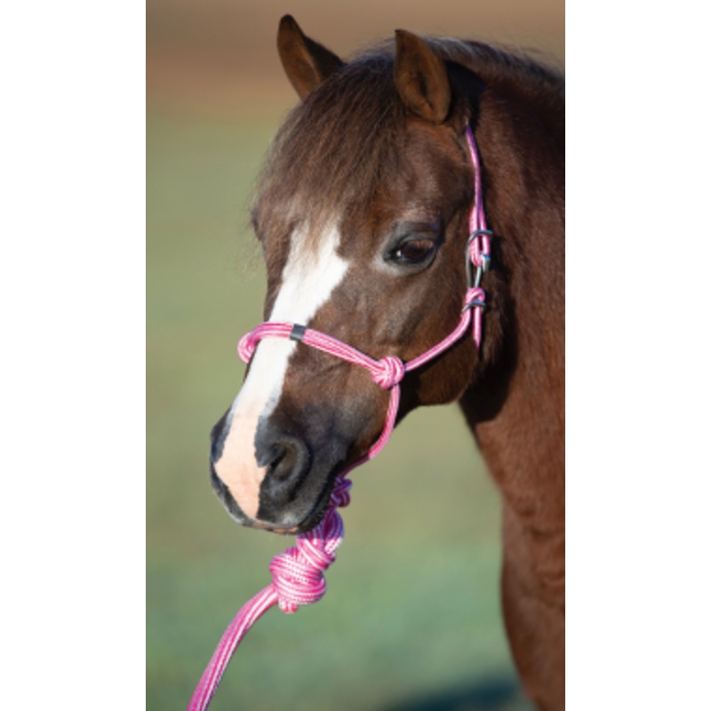 Professional’s Choice Easy On Rope Halter With Lead – Mini Size