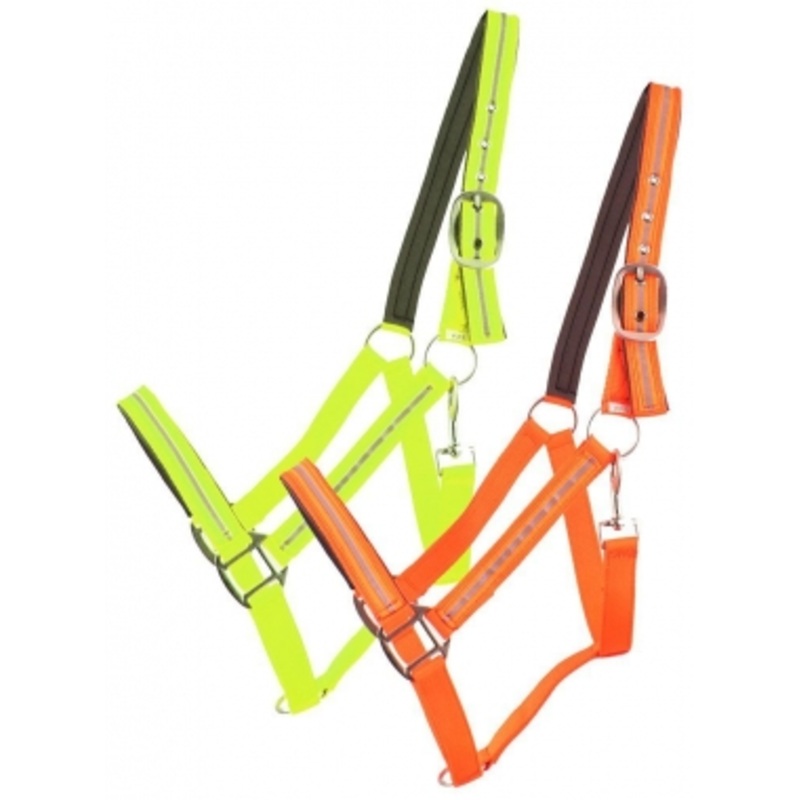 Showman Reflective Neoprene Lined Nylon Halter