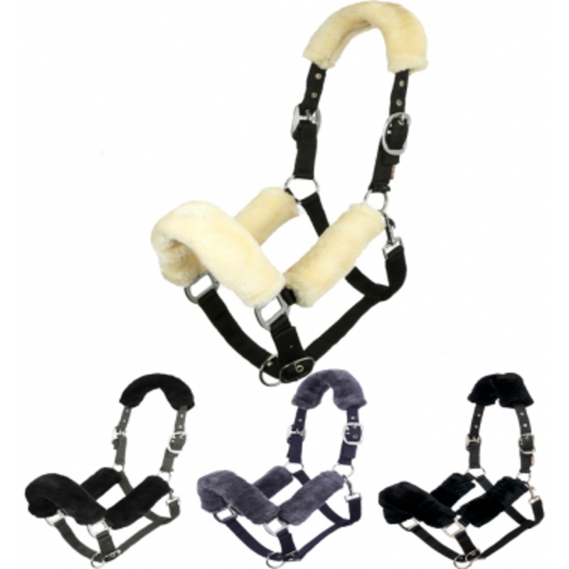 LeMieux Comfort Halter