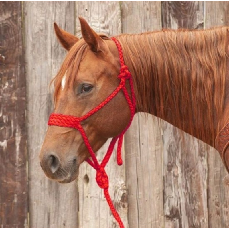 Rugged Ride Braided Mule Tape Halter With 10 foot Lead – Solids
