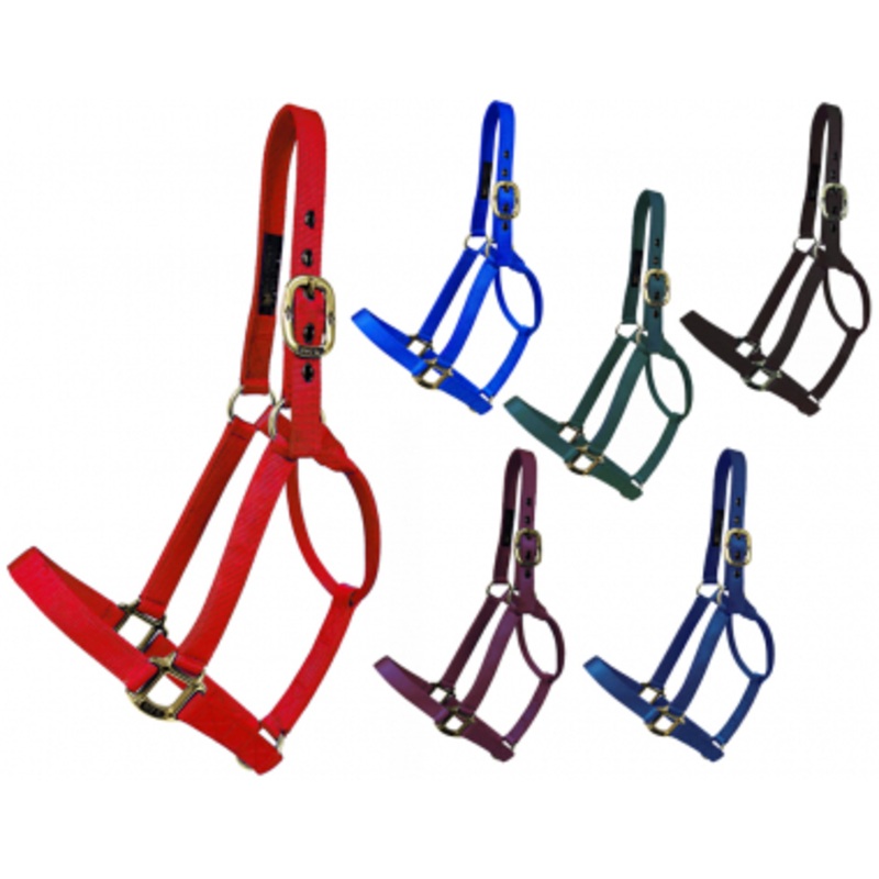 Big D Nylon Non-Adjustable Halter
