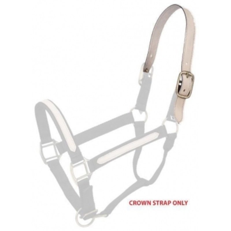 Tough-1 Single Ply Leather Replacement Breakaway Halter Crown Strap