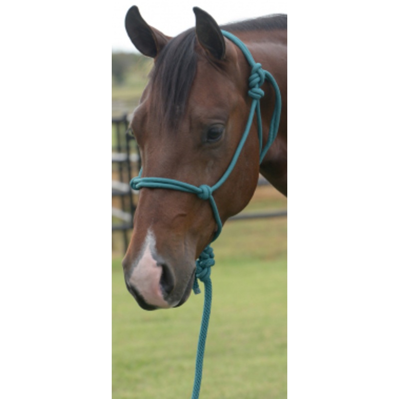 Equisential By Professional’s Choice Rope Halter With 8 Foot Lead