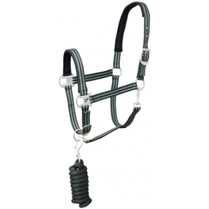 Horze Bari Padded Adjustable Horse Halter and 7 Foot Lead Rope Set