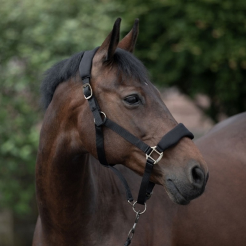 Horze Graz Fleece Padded Halter