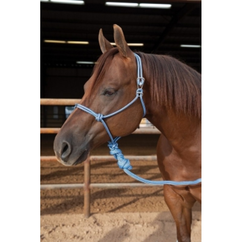 Professional’s Choice Easy On Rope Halter with Lead